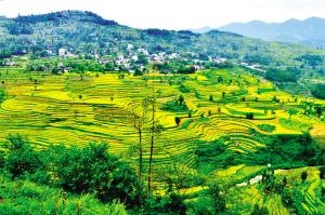 ���������ﺵ��Ķ����100���� �ܱߵ������