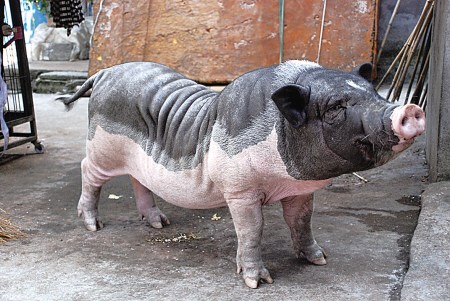 ���������������ؿ��100�� ����ͷʹ��������(ͼ)