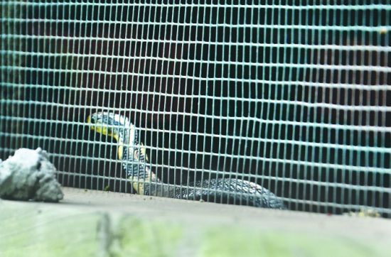 �Ĵ�¡���߳�320���۾��߳��� 52�����䲻����ͼ��