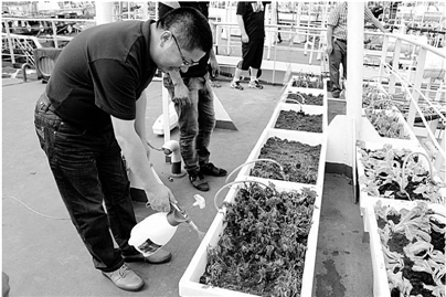 �²� ���Ĳ� ���Ȳˡ���Զ���洬�Ͽ����˸�С�߲�԰