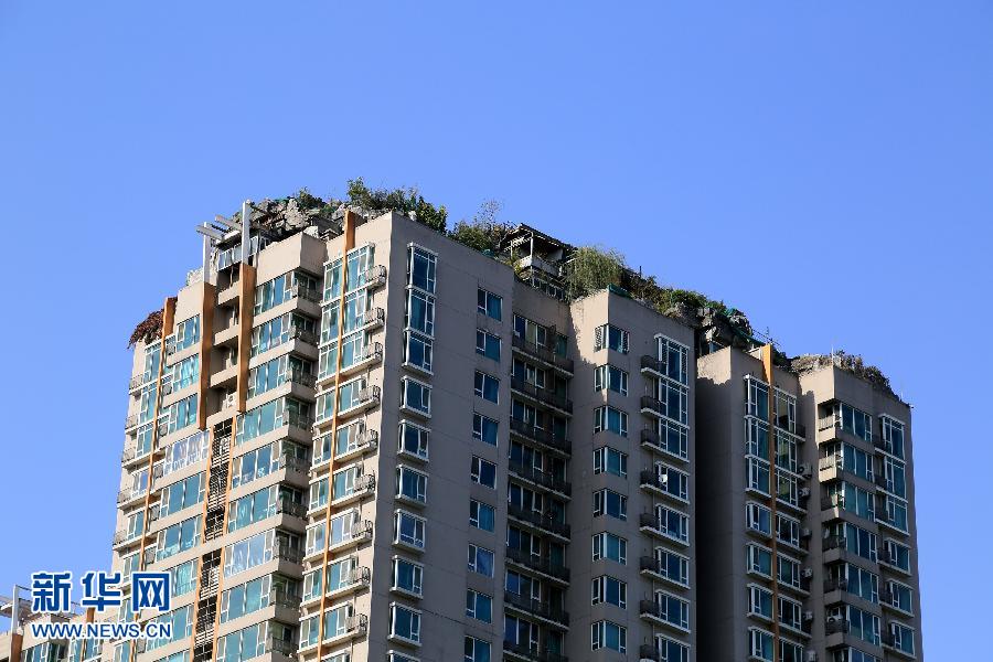 ��������ţΥ�������˳ơ�¥��������������ڼ���