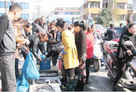 下桥海鲜批发市场_黄骅海鲜批发市场_北戴河刘庄海鲜市场