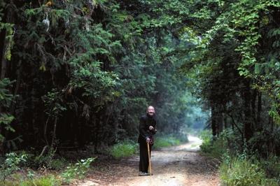 ���������һҳ