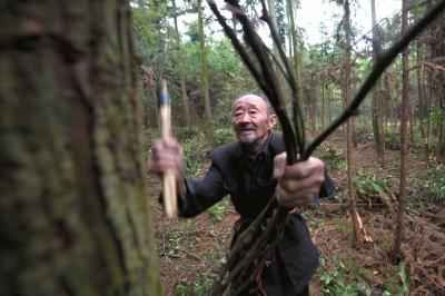 ���������һҳ