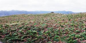 �����ࡱ�º���204�������� �������6������