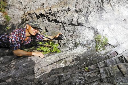 宁波首次发现3亿年前泥盆纪的“活化石”植物