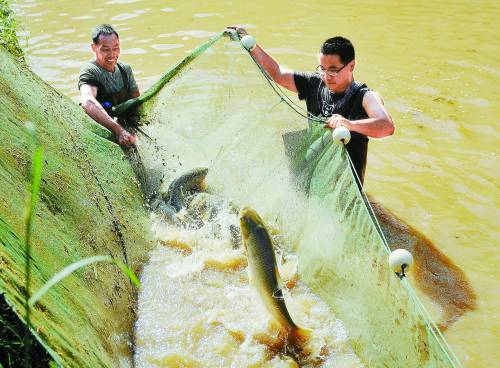 ��ѧ����������������ͻ�ư���