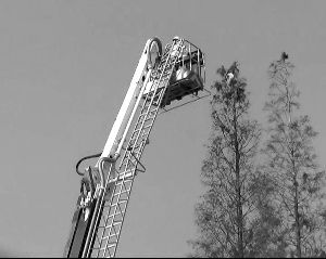 消防动用22米登高车营救被困小猫引热议(图)