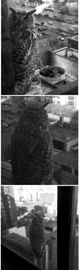 ����èͷӥ����д��¥���� ��������Ȥ��ͼ��