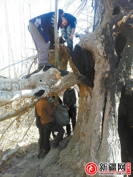 �½�8����ͯ����������ȼ188�����(ͼ)