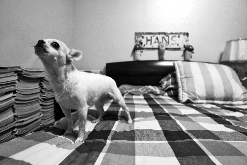 �й�С�ﱨ��ʿ����Ƽˮ���� ����ع���������