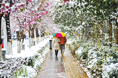 ����1400�˱���ѩ��20Сʱ �ο�ͽ����ׯ��ʳ��