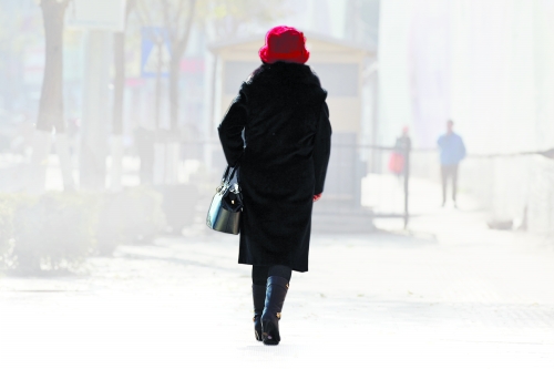 “女版褚时健”吴胜明:入狱18年 70岁后创业(图)