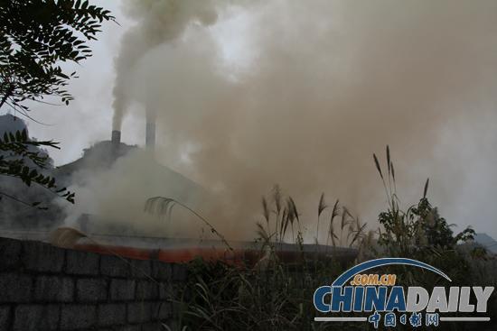 �����󲨹��Ҽ�ԭʼɭ�ֱ���������Ⱦ ����Ũ�̳ɡ��羰��