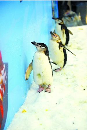 点击进入下一页