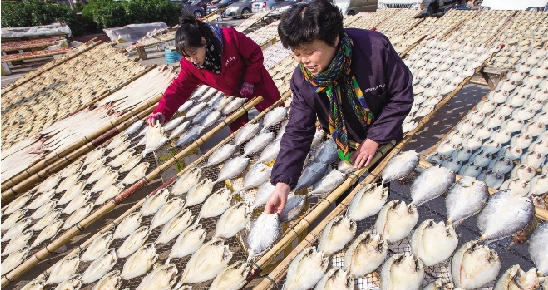 瑞安海鲜批发市场_黄骅海鲜批发市场_三亚第一市场海鲜图片