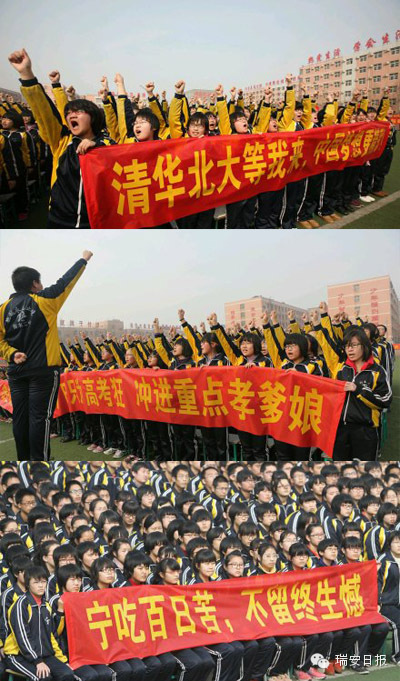 亲爱的翻译官_补贴收入 翻译(3)