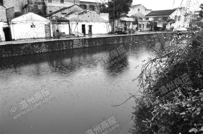 位于上江路附近的江前河一夜间河水变得又臭又黑。徐晓春 摄