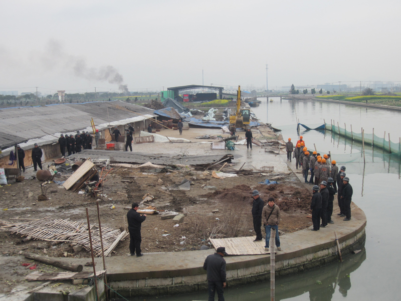 瑞安强拆养鸭场 助推五水共治-违章,涉水,ldq