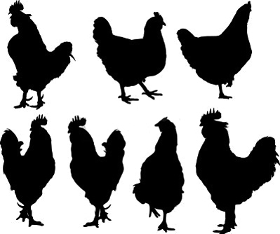 麣H7N9 8ֻɱ