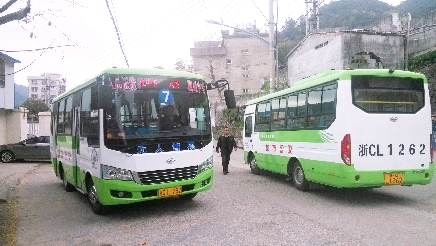 老城区出现20辆"缩小版"公交车_乐清网_yqcn.com