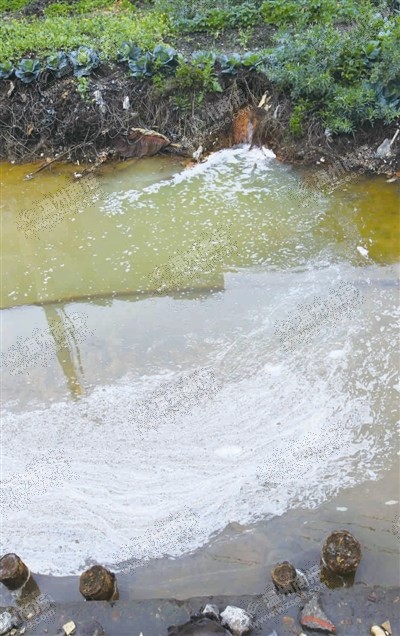 见习记者 夏灵犀 诸葛芳芳 通讯员 詹冬蕾