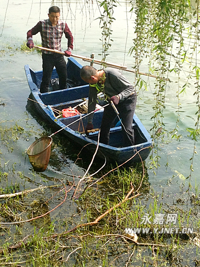 永嘉乌牛的外来人口_公安工作,现为永嘉县公安局乌牛... 陈舜尧同志根据辖区(3)