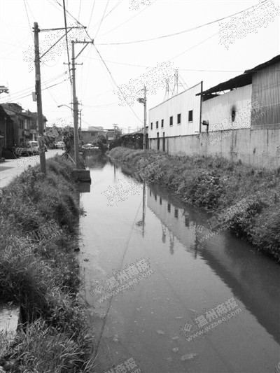 整治后的下兴村老沥河。灵犀 摄