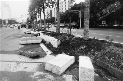 ������������̻��������������������� ��