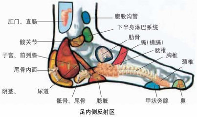 脚是人体第二心脏4个护脚妙招让你70不显老