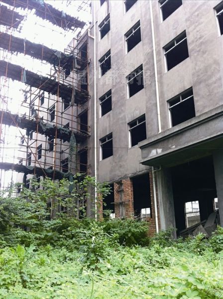 ������������δ���ã���ͬ����β¥����������Ұ�ݷ賤��