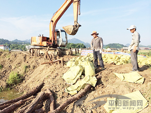 萧江人口_萧江有名猪骨头图片