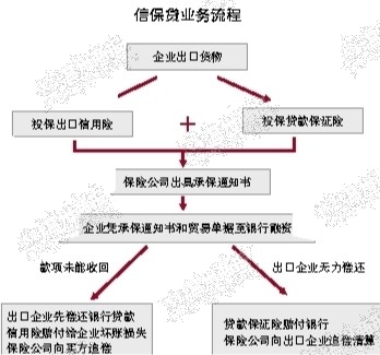 �̱����� ������