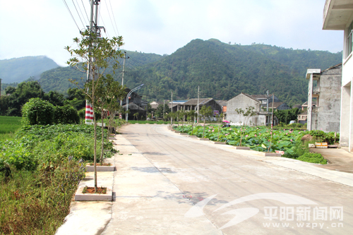 鳌江:书阁村 一个少数民族山村的"美丽故事"_平阳新闻网