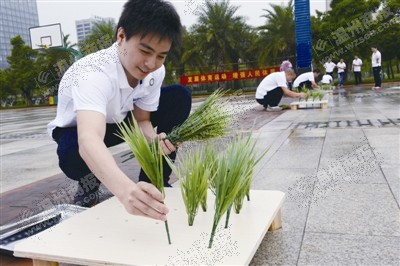 ͼΪ����������������Ĺ� ��