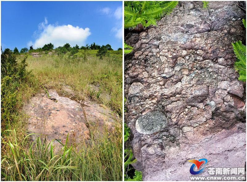 世界矾都惊现球泡火山流纹岩群?