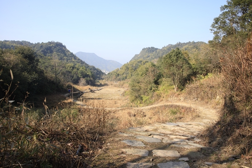 郭溪天长岭森林古道