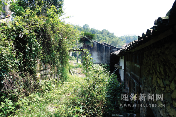 咱们村上电影啦—走进瞿溪肇山村