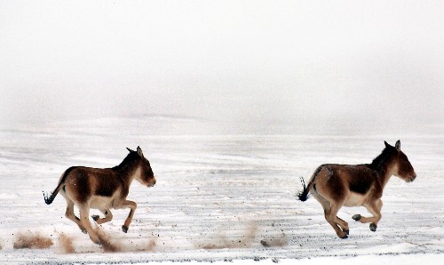 ST20150313616157371097.jpg 00123f37b7de05c54ab005.jpg