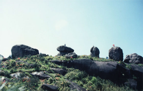 滨海玉苍山景区