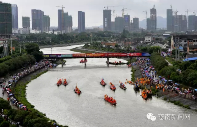 苍南:龙舟竞渡迎端午轮滑和漂移板续航图片