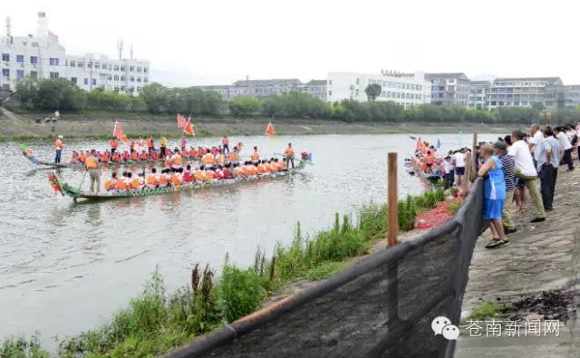 苍南:龙舟竞渡迎端午自由潜水学习图片