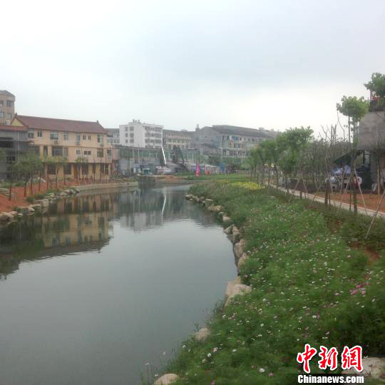 蒼南生態(tài)處理農(nóng)村生活污水 重現(xiàn)水鄉(xiāng)韻味