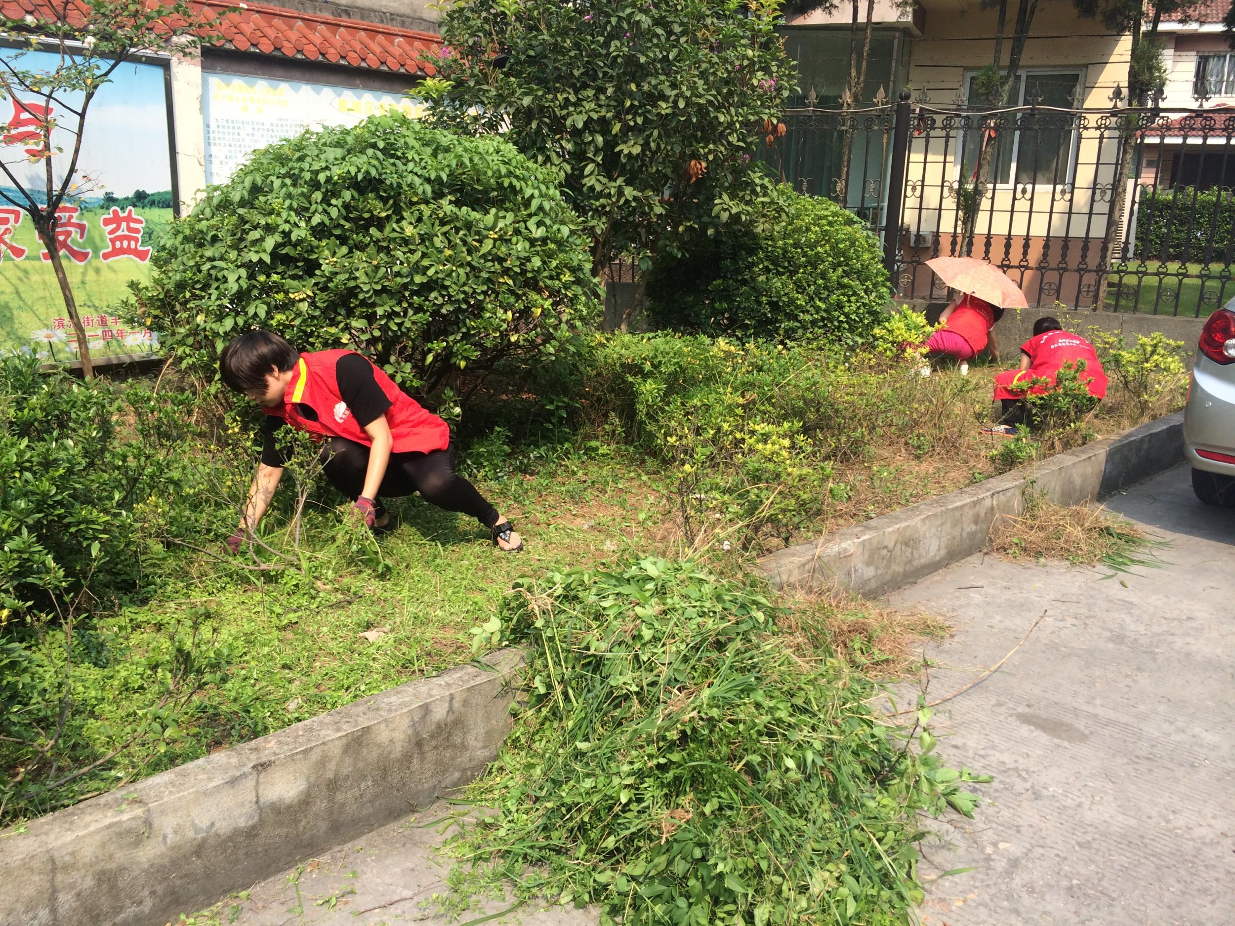 滨江街道 社区风采 活动中,志愿者针对辖区内道路拐角,绿化带的