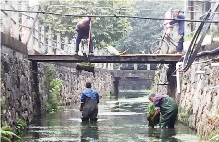 大荆镇多少人口(2)