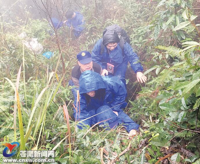 灵溪女孩凌晨迷路鹿峰山 被困30多小时后成功获救