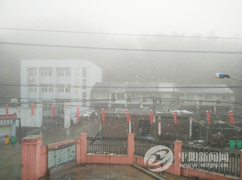看,吴垟朝阳山上飘雪啦!_平阳网