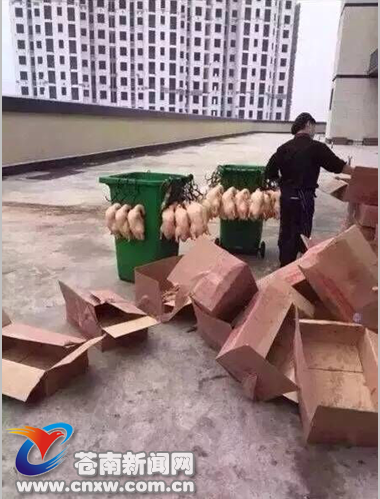 “烤鸭爬上垃圾桶”引发关注 店家称是工作人员在处理废品