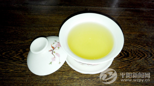 细说平阳黄汤制作,名优茶是如何炼成的?